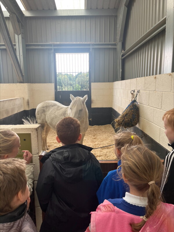 processed E90D09F8 F186 4E6C AA9A 2CDA3E5112E1